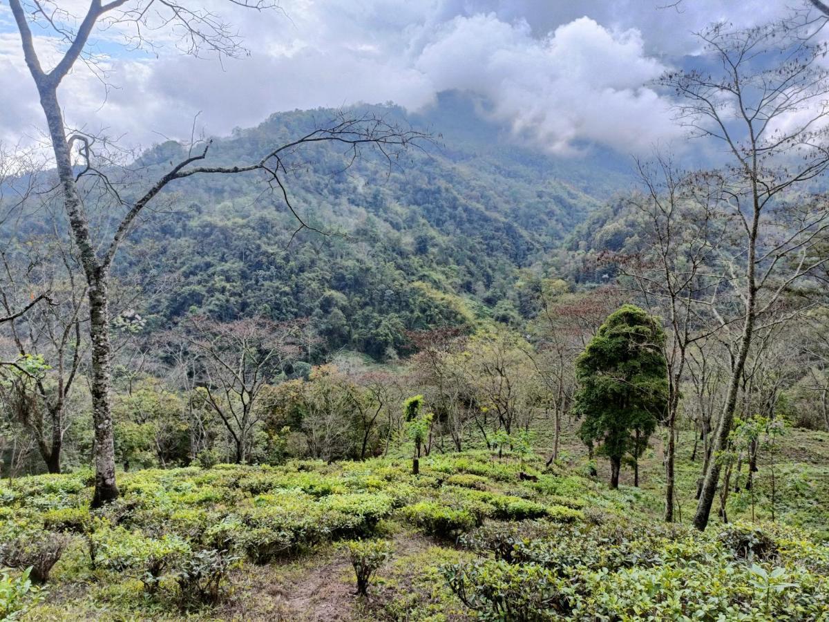 Live In Nature ダージリン エクステリア 写真
